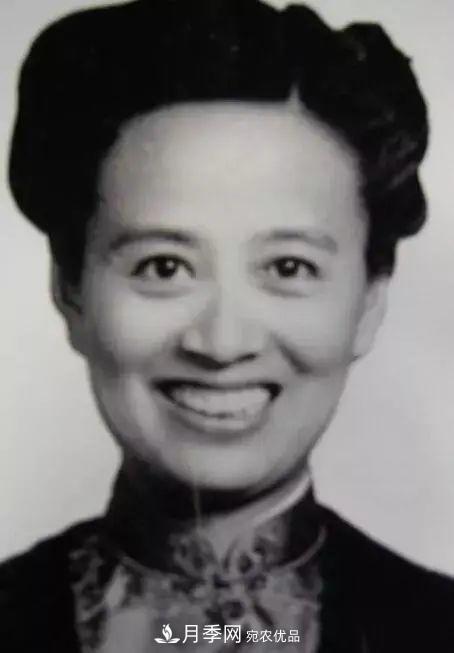 月季夫人蔣恩鈿，是她把月季花種到了人民大會(huì)堂(圖2)