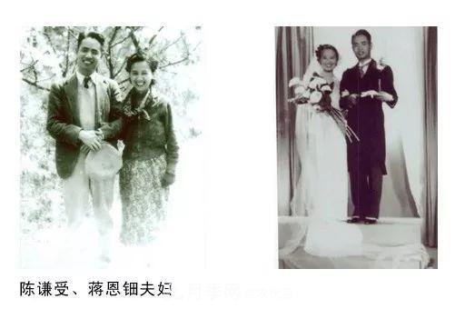 月季夫人蔣恩鈿，是她把月季花種到了人民大會(huì)堂(圖3)