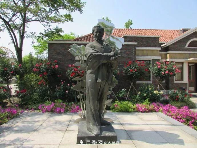 月季夫人蔣恩鈿，是她把月季花種到了人民大會(huì)堂(圖7)