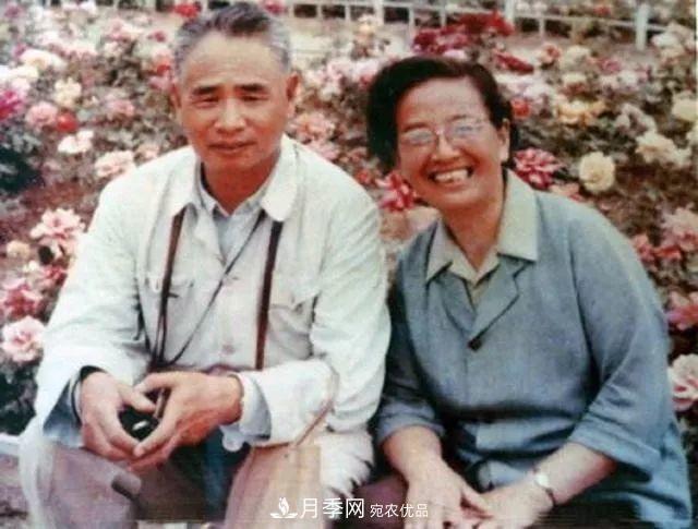 月季夫人蔣恩鈿，是她把月季花種到了人民大會(huì)堂(圖5)