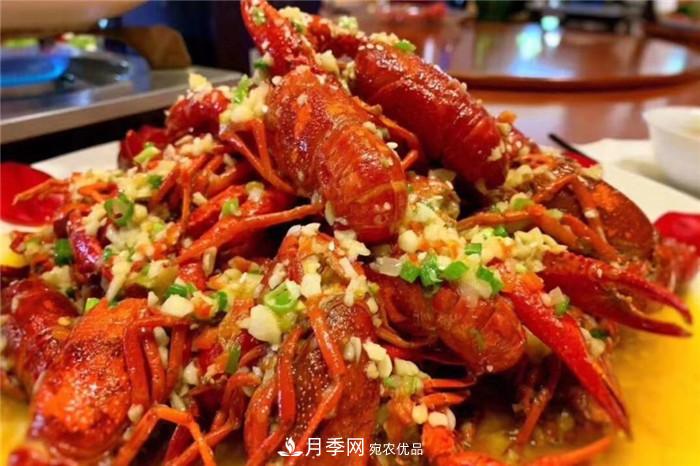 用臥龍?jiān)录净êＱb扮 把襄陽(yáng)變得更美(圖5)