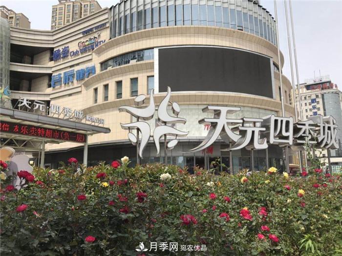 用臥龍?jiān)录净êＱb扮 把襄陽(yáng)變得更美(圖9)