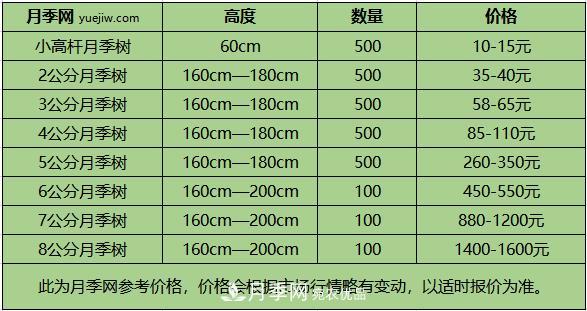 1、3、6公分南陽樹狀月季多少錢一棵？樹狀月季價格表！(圖2)