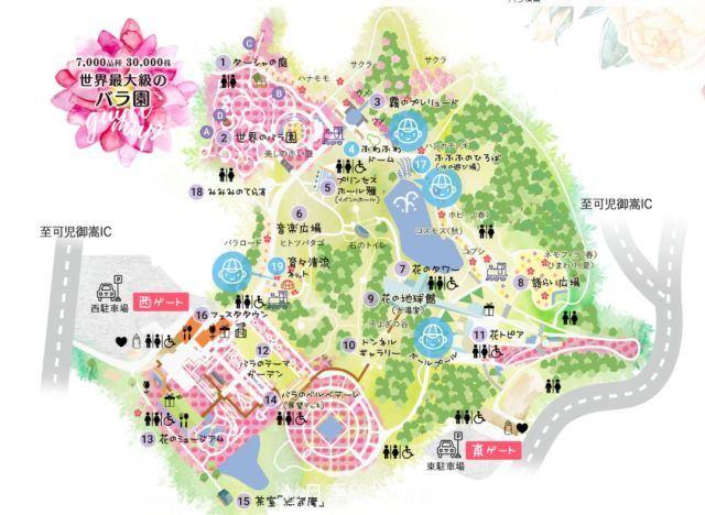 走進(jìn)世界***大月季園，近7000個品種，30000棵月季……(圖6)