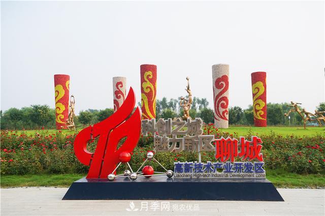 山東濟(jì)南的后花園，童話般月季花王國(guó)，300畝900個(gè)品種月季花盛放(圖3)