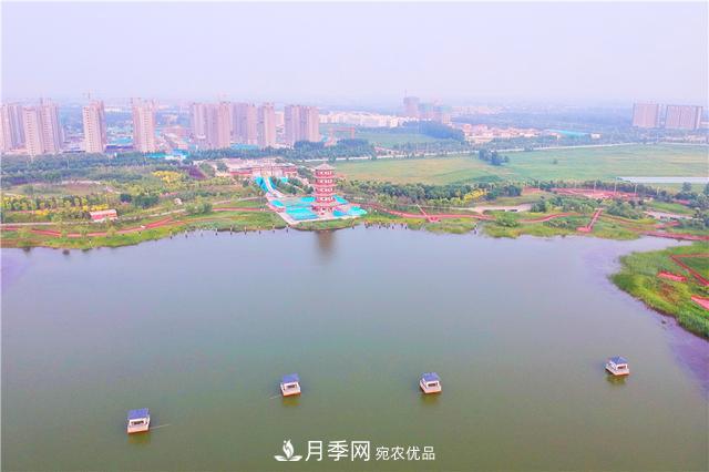 山東濟(jì)南的后花園，童話般月季花王國(guó)，300畝900個(gè)品種月季花盛放(圖9)
