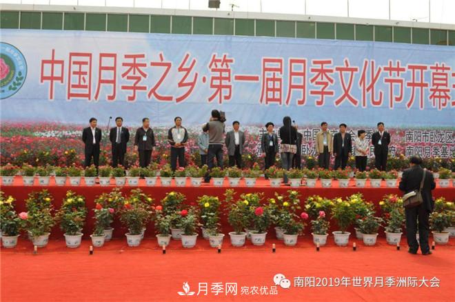 南陽(yáng)月季文化節(jié)記錄(圖1)