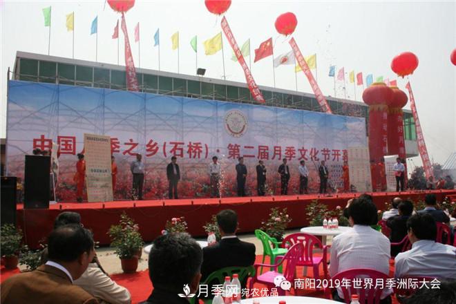 南陽(yáng)月季文化節(jié)記錄(圖2)