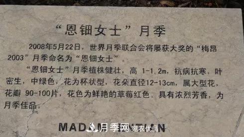 她潛心研究月季，帶領(lǐng)中國(guó)月季走向世界，被稱為“月季夫人”(圖9)