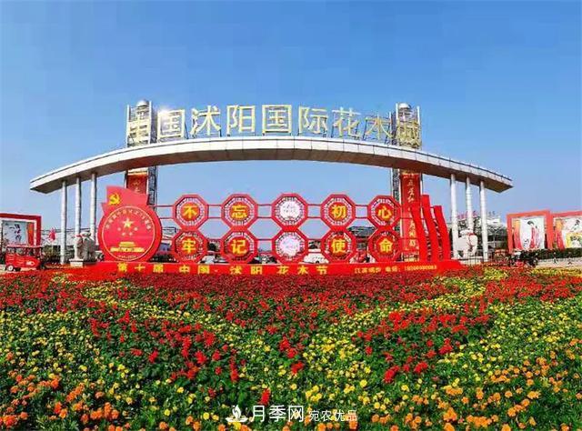 這些中國著名苗木產(chǎn)地你知道幾個(gè)？值得收藏！(圖2)