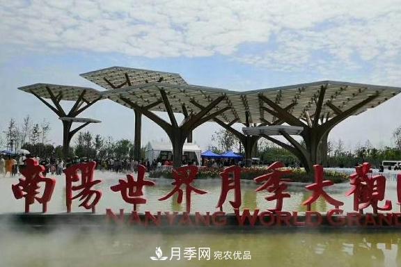 南陽世界月季大觀園：只愛園中月季美，不羨他鄉(xiāng)百花艷(圖1)