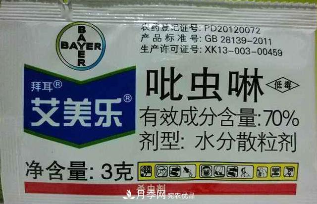 月季的常備藥品有哪些？收好了！(圖4)