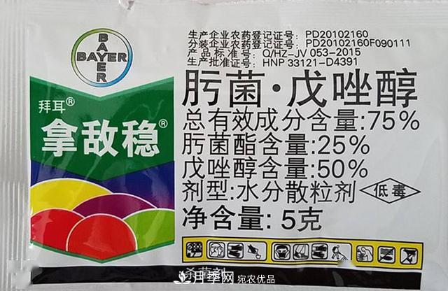 月季的常備藥品有哪些？收好了！(圖5)