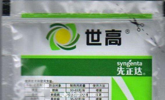 月季的常備藥品有哪些？收好了！(圖6)