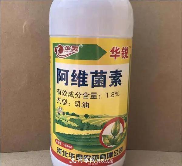 月季的常備藥品有哪些？收好了！(圖9)