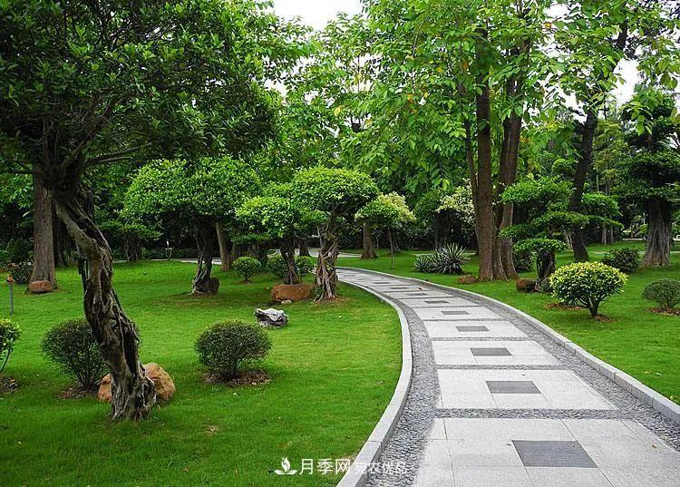 破解苗木行業(yè)需求的發(fā)展變化，弄懂才能賺錢?！(圖1)