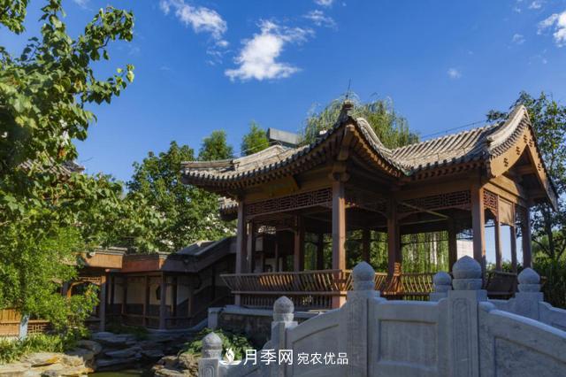 今夏到北京豐臺，看亭臺樓閣，賞各色月季(圖4)