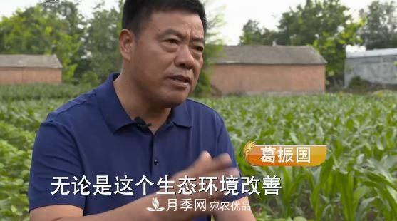 河南商丘男子種苗木，半年?duì)I業(yè)額達(dá)3000萬(圖3)