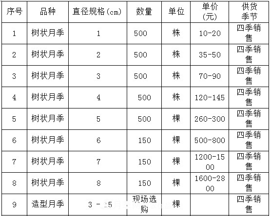 安徽樹(shù)狀月季的價(jià)格？樹(shù)狀月季各規(guī)格多少錢(qián)一棵？(圖4)