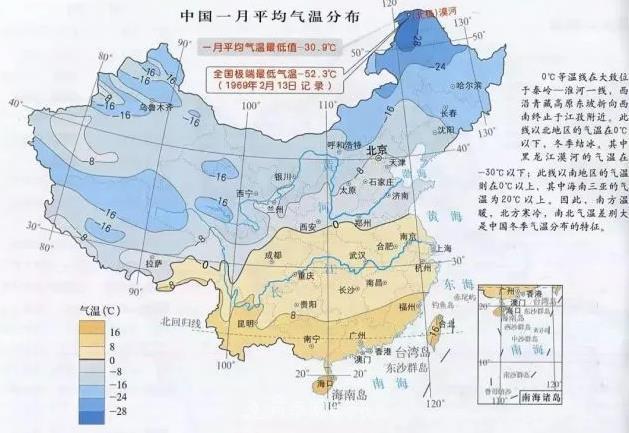 北方南方養(yǎng)護(hù)月季重點(diǎn)有什么不同？不用討論了(圖2)