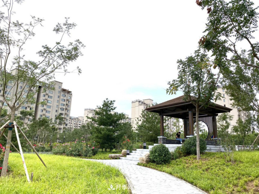 免費(fèi)，景美，有兒童活動區(qū)！北京密云月季公園，你去了嗎！(圖3)