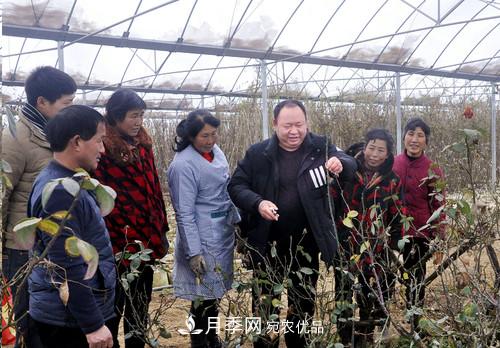 南陽月季集團總經(jīng)理李付昌——月季大觀園里的拓荒者(圖1)