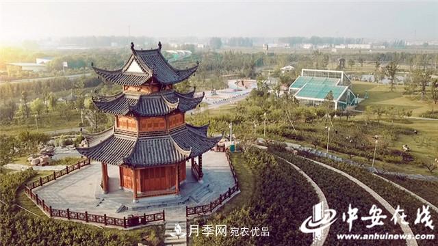 探訪(fǎng)第十屆中國(guó)月季展覽會(huì) 2000多種月季花月底綻放(圖3)