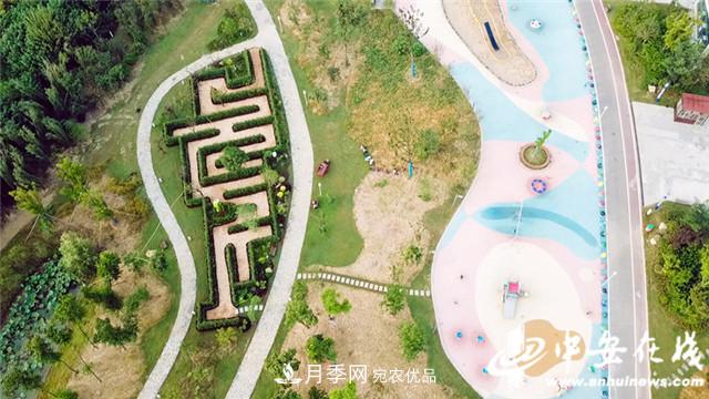 探訪(fǎng)第十屆中國(guó)月季展覽會(huì) 2000多種月季花月底綻放(圖5)
