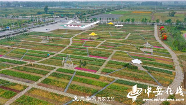 探訪(fǎng)第十屆中國(guó)月季展覽會(huì) 2000多種月季花月底綻放(圖7)