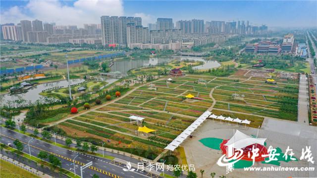 探訪(fǎng)第十屆中國(guó)月季展覽會(huì) 2000多種月季花月底綻放(圖2)