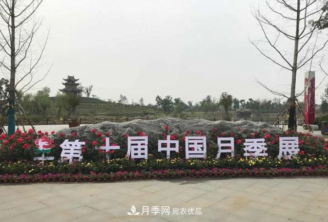 第十屆中國月季展覽會，南陽園和鄭州園亮相(圖1)