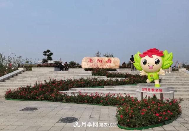 第十屆中國月季展覽會，南陽園和鄭州園亮相(圖2)