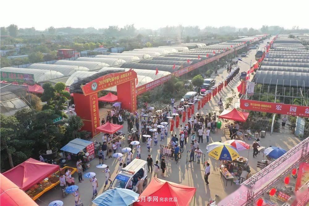花木盛會，2020第八屆中國?沭陽花木節(jié)將于9月29日開幕！誠邀您大駕光臨！(圖13)