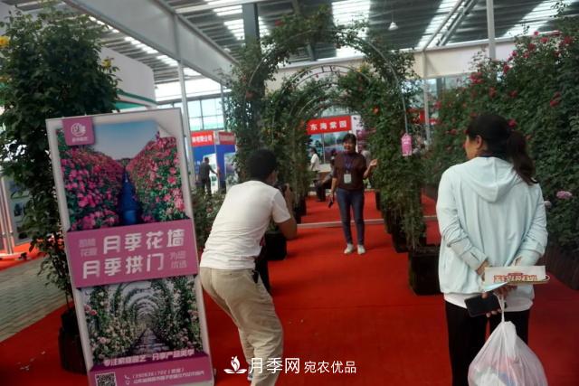 焦“綠”的苗木人，在山東昌邑園林花木會展上收獲了什么(圖3)