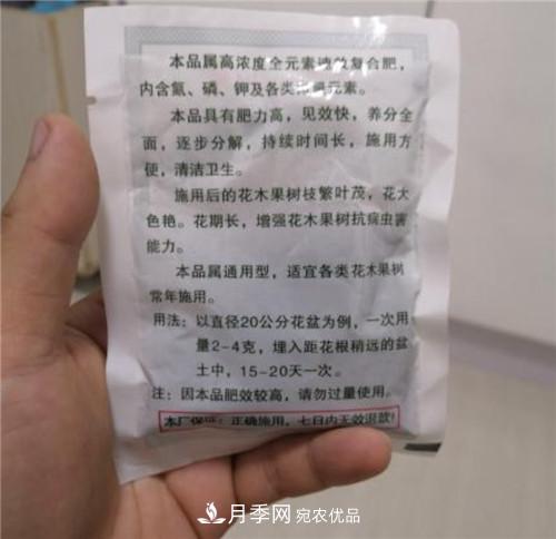 買月季花時(shí)贈(zèng)送的小包肥料和生根粉是真是假？教你辨別(圖2)