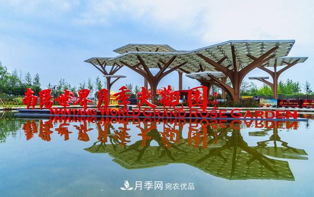 南陽世界月季大觀園關于發(fā)行年票的公告(圖1)