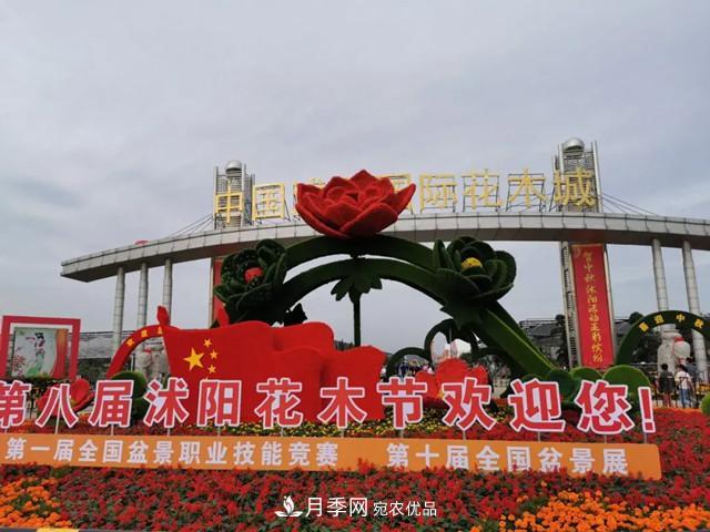 第八屆中國(guó)·沭陽(yáng)花木節(jié)開幕，參觀盆景界的“奧林匹克”(圖1)