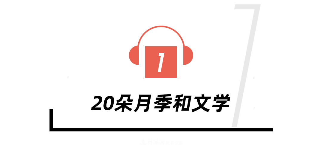 陳丹燕：不能旅行的日子，她開始與月季對話(圖4)