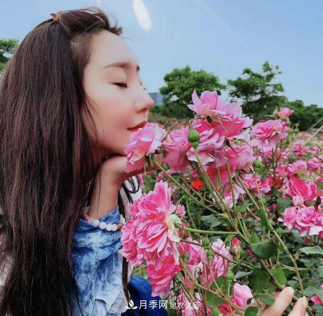 中國(guó)抖起來(lái)國(guó)慶網(wǎng)紅打卡地！蘇州月季花海等你來(lái)……(圖1)
