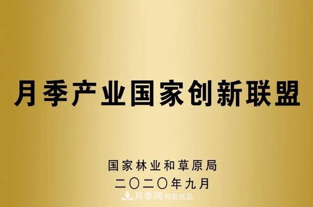 月季產(chǎn)業(yè)國家創(chuàng)新聯(lián)盟成立大會(huì)在安徽阜陽召開(圖5)