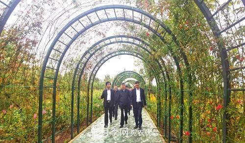 紀念南水北調(diào)南陽深厚友誼，北京京宛友誼月季園開園(圖2)