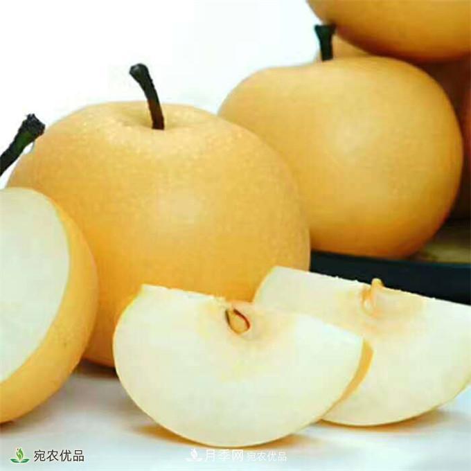 南水北調(diào)有機寶盈蜜梨，南陽淅川特產(chǎn)水果批發(fā)(圖4)