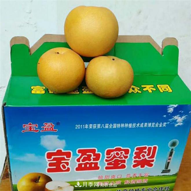 南水北調(diào)有機寶盈蜜梨，南陽淅川特產(chǎn)水果批發(fā)(圖3)