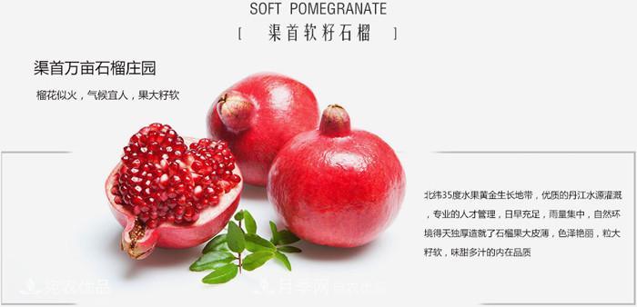 淅川突尼斯軟籽石榴基地批發(fā)價(jià)格，好水果(圖3)