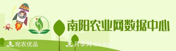 南陽農(nóng)業(yè)數(shù)據(jù)中心(圖1)
