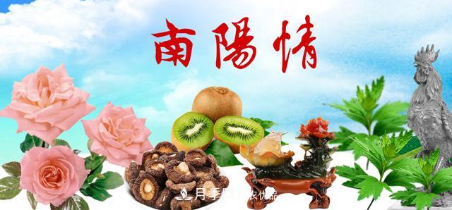 南陽(yáng)名優(yōu)特農(nóng)產(chǎn)品，中國(guó)之鄉(xiāng)譽(yù)響中國(guó)(圖1)