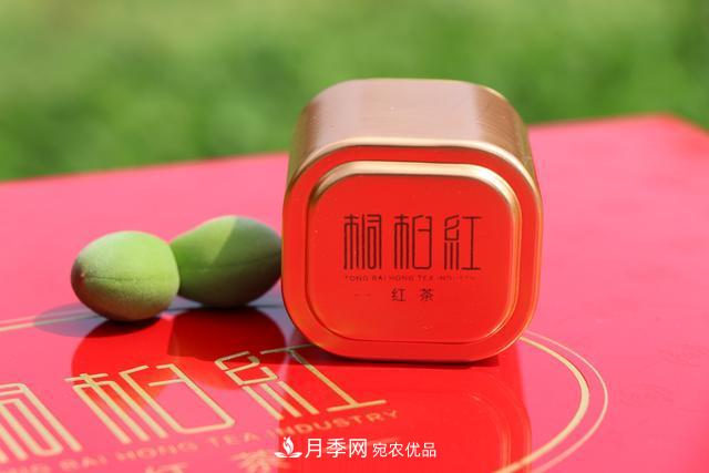 南陽特產：桐柏紅茶葉(圖1)