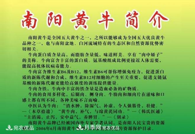 南陽黃牛，中國地理標志保護農(nóng)產(chǎn)品(圖3)