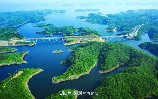 南陽(yáng)淅川“淅有山川”南水北調(diào)農(nóng)產(chǎn)品區(qū)域公用品牌解讀(圖2)