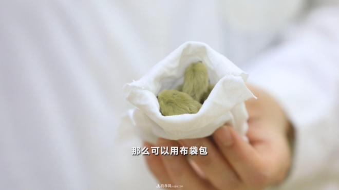 公園里種的玉蘭也是一味藥材，是真的嗎？(圖7)